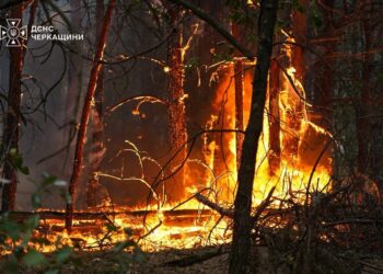 На Черкащині пожежа перекинулася з приватного подвір’я і охопила 100 гектарів лісу