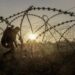 Понад 60% українців проти передачі Донбасу росії в обмін на безпеку – опитування