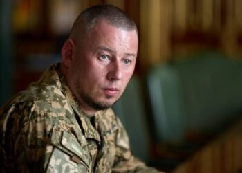 Особливі варіанти застосування ракетних систем: Паліса координуватиме роботу Міноборони з США та українськими виробниками