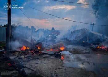 Пожежа у притулку для тварин на Київщині знищила 20 вольєрів