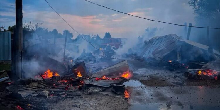 Пожежа у притулку для тварин на Київщині знищила 20 вольєрів