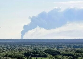 Зеленський підтвердив ураження за допомогою "Фламінго" підприємства "роскосмосу" і не тільки