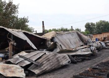 На Київщині сталася пожежа у притулку для тварин – є загиблі тварини