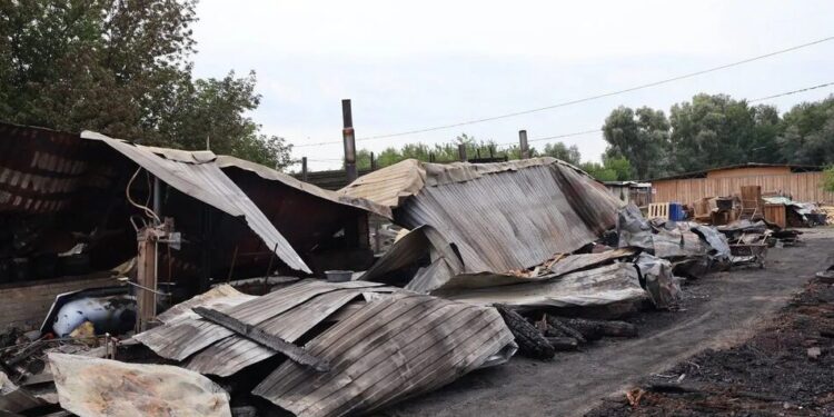 На Київщині сталася пожежа у притулку для тварин – є загиблі тварини