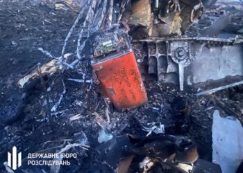Катастрофа Су-24М на Хмельниччині: фахівці розшифрували бортовий реєстратор, причиною пошкодження літака міг стати птах