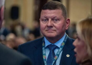 Залужний: Україна ніколи не стане членом НАТО