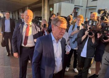 Глава МЗС Німеччини Вадефуль прибув до Києва