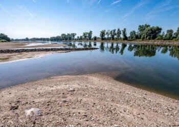 В Україні маловоддя на річках на тлі спеки – розкрили, де рекордно низькі рівні