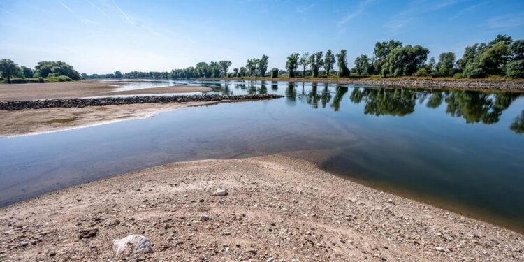 В Україні маловоддя на річках на тлі спеки – розкрили, де рекордно низькі рівні