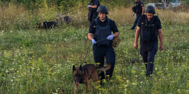 Вибухи на полігоні на Хмельниччині: ДСНС каже про завершення робіт оновними силами, ліквідація наслідків триває