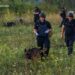 Вибухи на полігоні на Хмельниччині: ДСНС каже про завершення робіт оновними силами, ліквідація наслідків триває