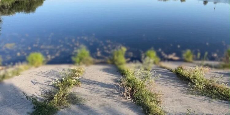На Київщині поліція відкрила провадження через забруднення водойм та загибель риби
