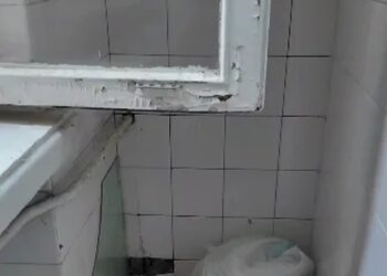 У дитячому таборі в київській Пущі-Водиці виявили бруд, плісняву та численні порушення