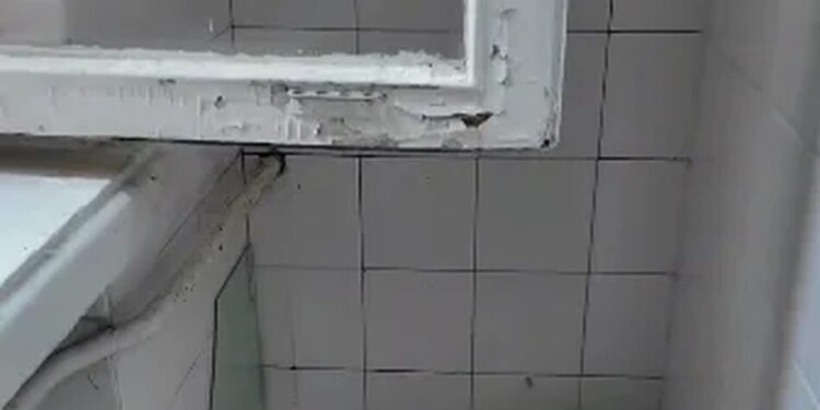 У дитячому таборі в київській Пущі-Водиці виявили бруд, плісняву та численні порушення