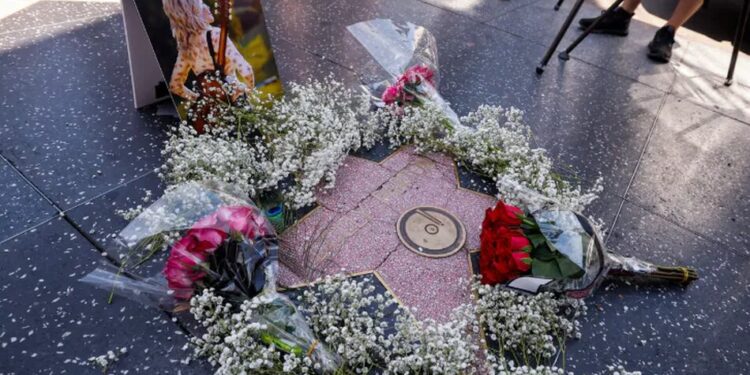 Стало відомо, від чого померла зірка кантрі Доллі Партон