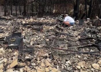 У Франції лісова пожежа викрила схованку з 400 снарядами часів Другої світової