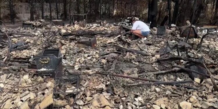 У Франції лісова пожежа викрила схованку з 400 снарядами часів Другої світової