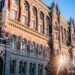 НБУ припиняє повноваження голови наглядової ради Sense Bank – Пишний