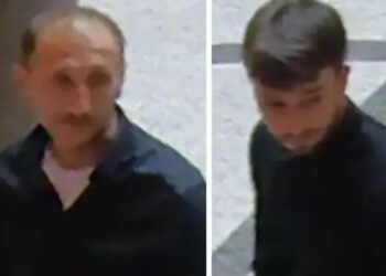 У Відні з музею викрали прикрашене понад 600 діамантами кольє вартістю понад $4 млн