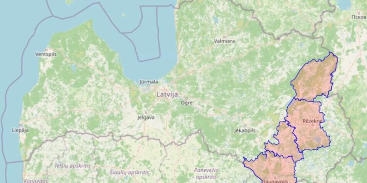 Прем’єр Литви не виключив провокацію "під чужим прапором" після збиття дрона над Латвією