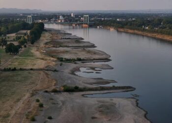 У Німеччині рівень води в Рейні впав до історичного мінімуму