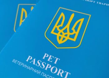 В Україні видають нові ветеринарні паспорти для тварин – що зміниться для їх власників