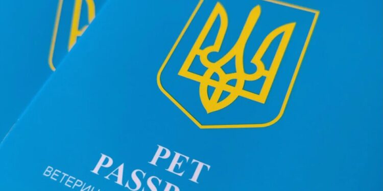 В Україні видають нові ветеринарні паспорти для тварин – що зміниться для їх власників