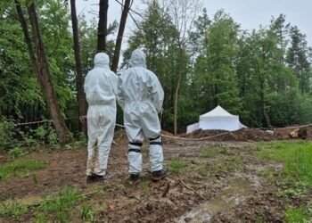 Держкомісія погодила проведення ексгумаційних досліджень у кількох регіонах України – УІНП