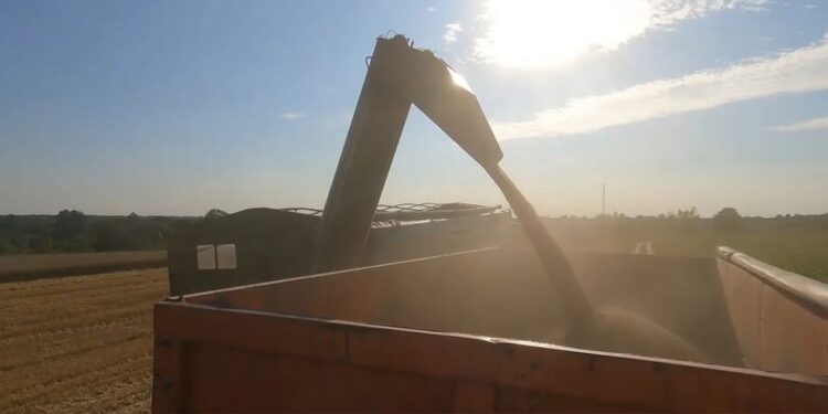 Удари рф по портах можуть коштувати Україні до 2% ВВП – Bloomberg