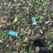 У Харкові невідомі підірвали димові шашки біля житлових будинків