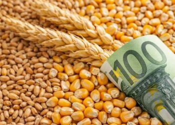 В Україні тимчасово скоригували мінімальні експортні ціни на агропродукцію, готують план розвитку переробки – Корецький