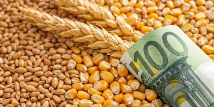 В Україні тимчасово скоригували мінімальні експортні ціни на агропродукцію, готують план розвитку переробки – Корецький