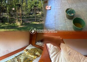 Пліснява в укритті, гнилі продукти, 12 дітей у кімнаті: Омбудсман заявив про кричущі порушення у таборі "Артек Закарпаття"
