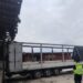 На Сумщині дрони та міномети поранили дитину й трьох дорослих