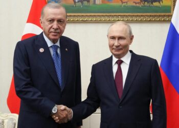 Ердоган заявив про подальші ядерні проєкти з росією