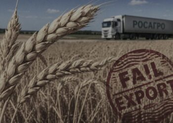 росія не встигає вивозити новий урожай зерна та втрачає доходи від експорту – розвідка