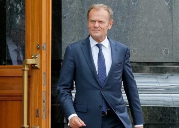 Польща долучилась до створення антибалістичного щита Freyja