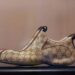 Gucci продає нові моделі розкішних кросівок із маркуванням "Made in China" – скільки вони коштують та чому їх критикують