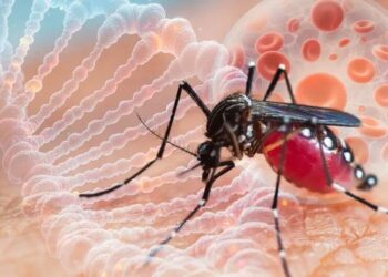 У Нідерландах зафіксували п’яту смерть серед інфікованих вірусом Західного Нілу