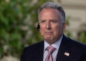 Віткофф розкрив деталі переговорів із птіним у москві