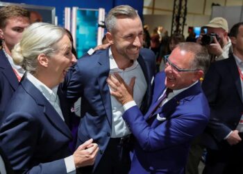 Німці вважають АдН небезпечнішою за «Лівих» для демократії – Bild