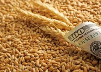 Максимум на 180 днів – в Україні продовжили строки розрахунків для експортерів агропродукції через атаки рф