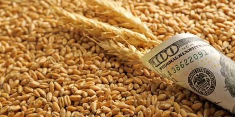 Максимум на 180 днів – в Україні продовжили строки розрахунків для експортерів агропродукції через атаки рф