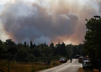 Спека у Франції спричинила майже 8000 випадків "надлишкової" смертності
