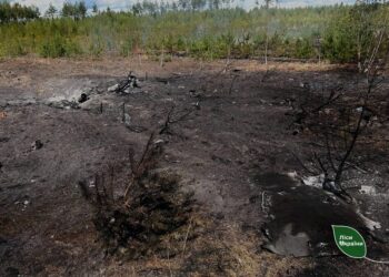В Україні за тиждень через ворожі атаки вигоріли 84 гектари лісу
