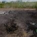 В Україні за тиждень через ворожі атаки вигоріли 84 гектари лісу