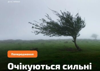 В Україні 6 вересня оголосили жовтий рівень небезпеки через вітер