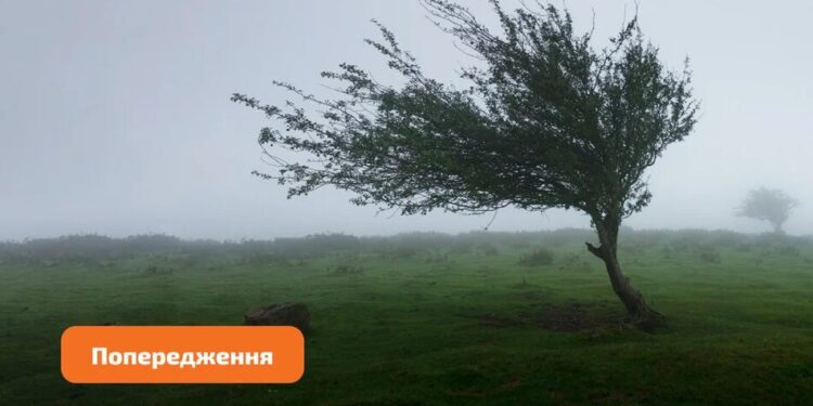 В Україні 6 вересня оголосили жовтий рівень небезпеки через вітер