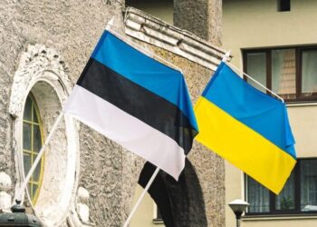 Естонія додатково виділить 100 тисяч євро на підтримку енергетики України