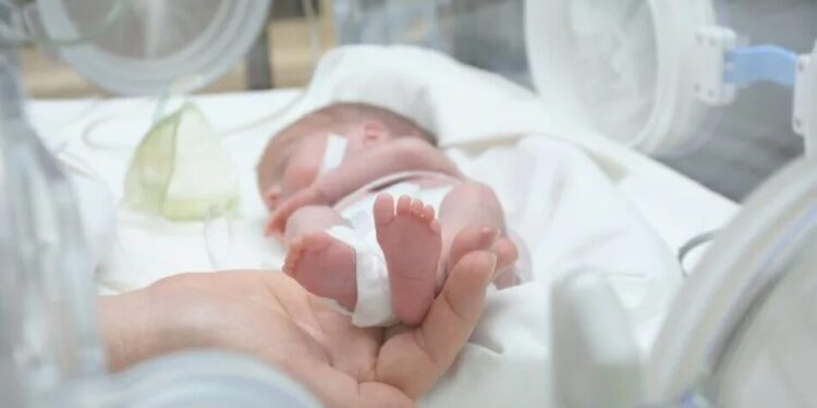 З 22 тижнів: як відбувається виходжування передчасно народжених дітей